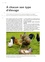 Poules. Guide complet de l'éleveur amateur