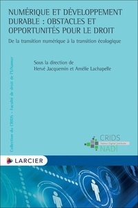 Hervé Jacquemin et Amélie Lachapelle - Numérique et développement durable : obstacles et opportunités pour le droit.
