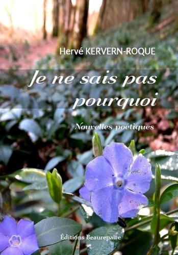 Hervé Kervern-Roque - Je ne sais pas pourquoi.