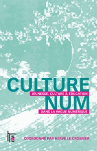 Hervé Le Crosnier - Culturenum - Jeunesse, culture & éducation dans la vague numérique.
