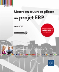 Hervé Petit - Mettre en oeuvre et piloter un projet ERP.