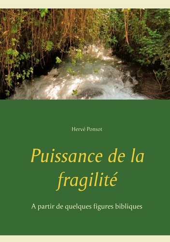 Puissance de la fragilité. A partir de quelques figures bibliques