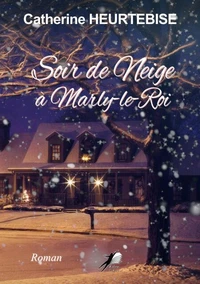 Soir de Neige à Marly le Roi