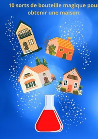 10 sorts de bouteille magique pour obtenir une maison