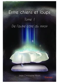De l'autre côté du miroir - Tome 1