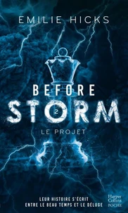 Before Storm - T2 : Le projet