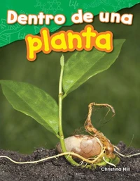 Dentro de una planta
