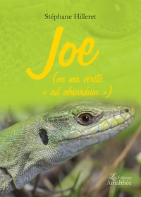 Joe (ou ma vérité "ad absurdum")