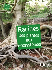 Racines