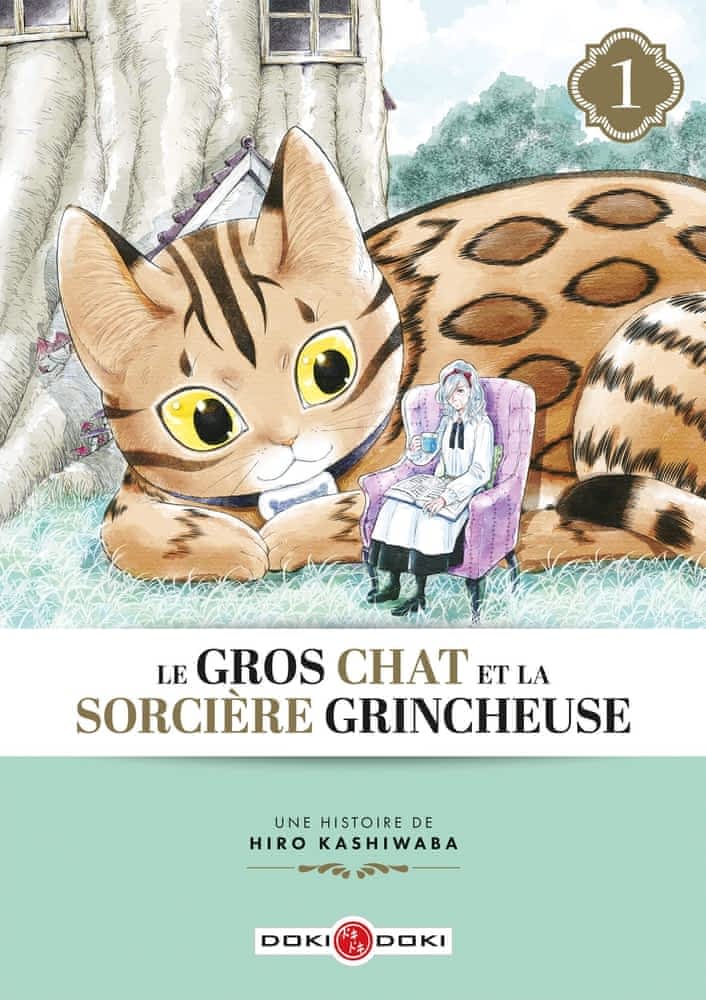 Le  gros chat et la sorcière grincheuse. 1