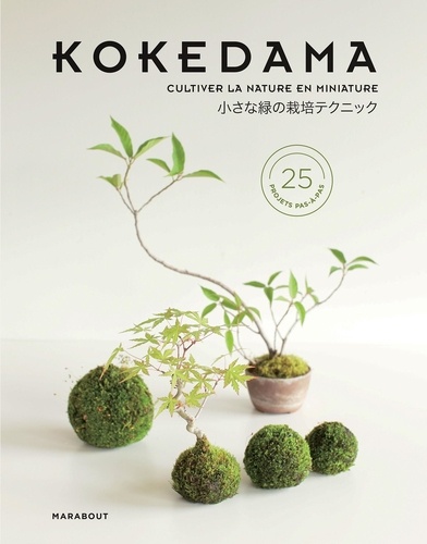 Ateliers Kokedama. Mini-bonsaïs & autres sculpture de mousse - Comment cultiver la verdure en miniature ?
