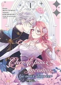 Cher époux inconnu, je veux divorcer Tome 1
