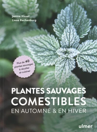 Plantes sauvages comestibles en automne & en hiver