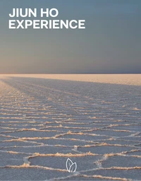 Jiun Ho: Experience