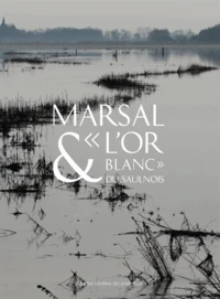 Marsal & "l'or blanc" du Saulnois