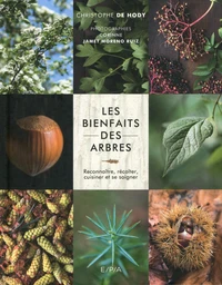 Les bienfaits des arbres