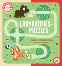 Labyrinthes-puzzles