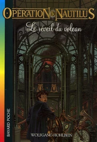 Le réveil du volcan