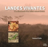 Au royaume des landes