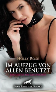 Im Aufzug von allen benutzt | Erotische SM-Geschichte