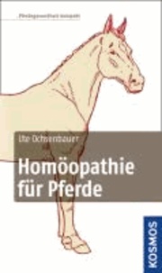 Homöopathie für Pferde.