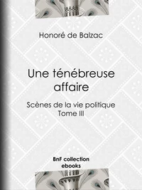 Une ténébreuse affaire