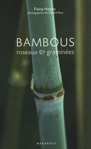 Bambous