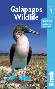 Galápagos Wildlife