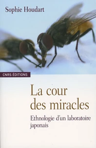 La cour des miracles