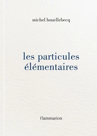 Les particules élémentaires