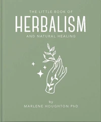 The Little Book of Herbalism and Natural Healing