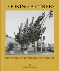 Looking at trees