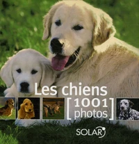 Les chiens