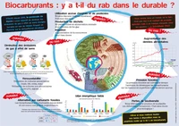 Biocarburants : y a-t-il du rab dans le durable ?