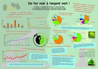 De l'or noir à l'argent vert