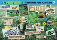 L'herbe, parcours ou culture ?