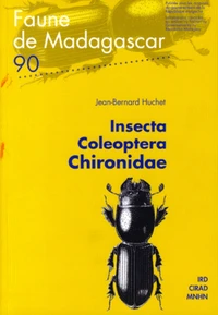 Insecta coleoptera Chironidae