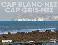 Cap Blanc-Nez, Cap Gris-Nez