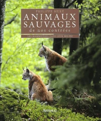 Animaux Sauvages De Nos Contrees