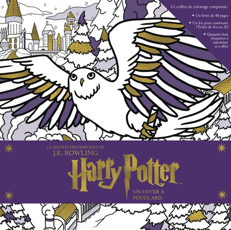  Huginn & Muninn - Harry Potter, un hiver à Poudlard.