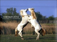 Agenda calendrier 2013 Chevaux