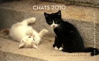 Chats 2010