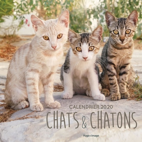 Calendrier mural chats et chatons  Edition 2020