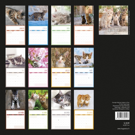 Calendrier mural chats et chatons  Edition 2020