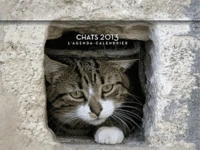 Chats 2013
