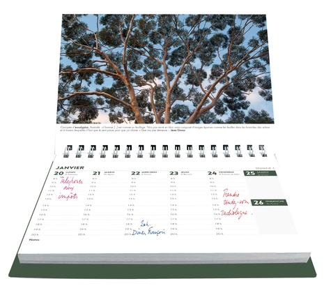 L'agenda-calendrier arbres et forêts  Edition 2020