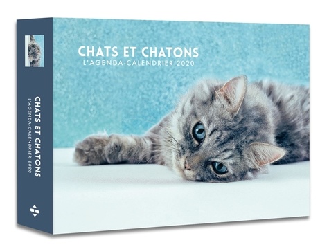 L'agenda-calendrier chats et chatons  Edition 2020
