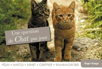Une question de chat par jour 2013