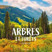 Calendrier Arbres et Fôrets