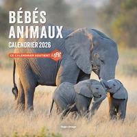 Calendrier Bébés Animaux